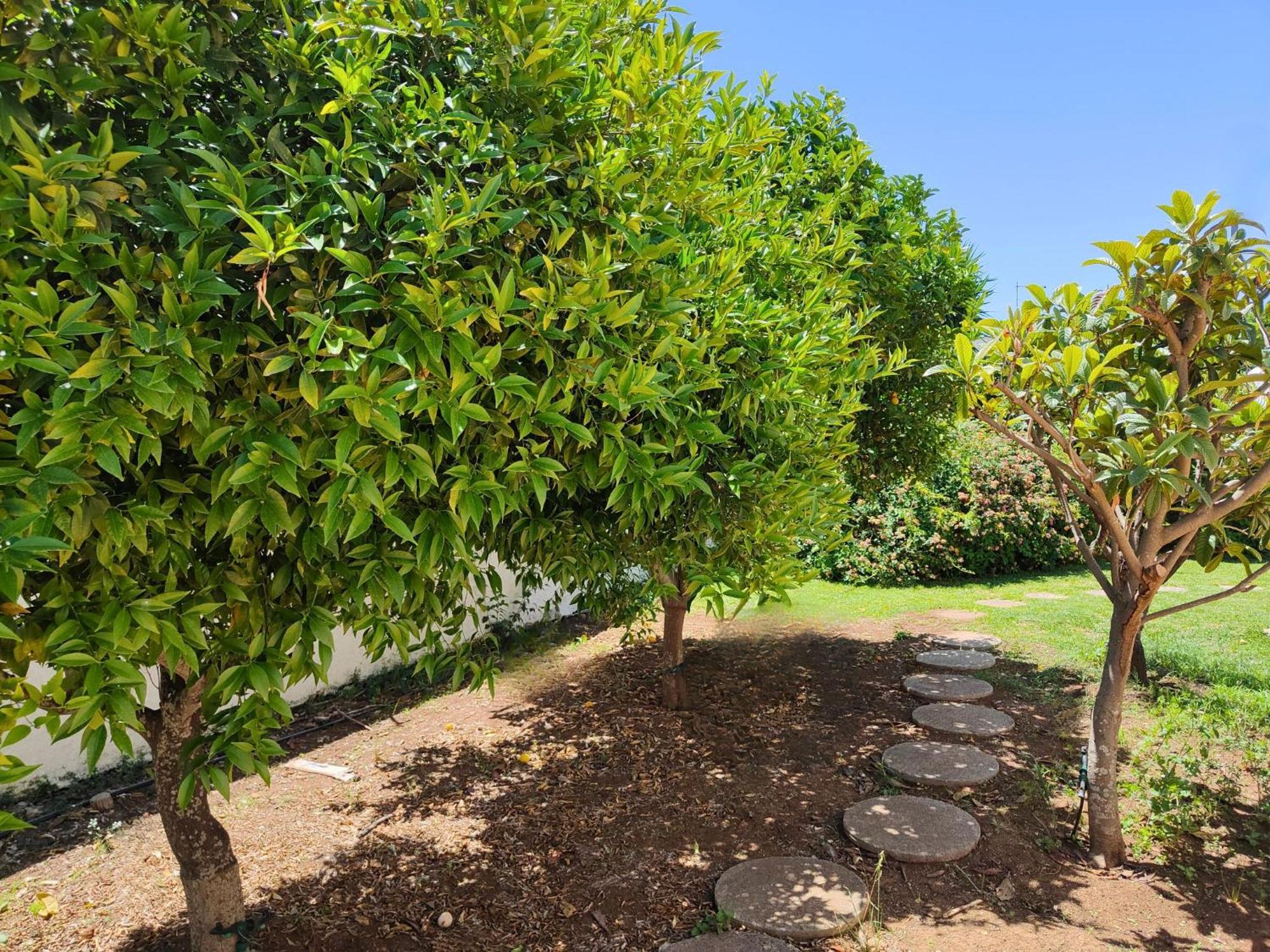 Villa Alfonsa, Fontane Bianche, Siracusa, Private Pool, 10Min From The Beach Εξωτερικό φωτογραφία